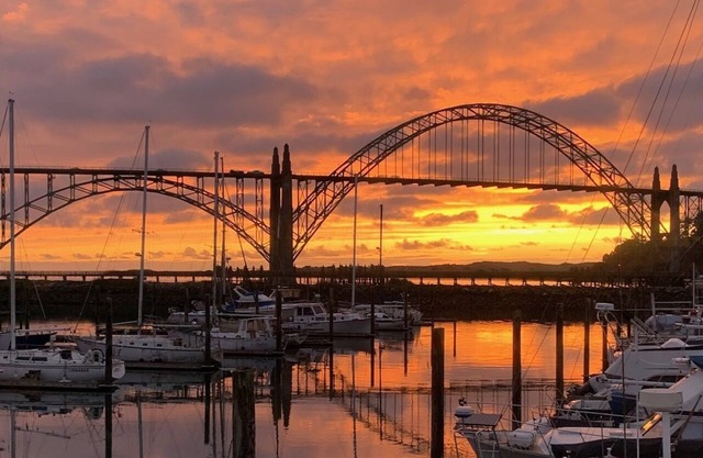The Newport Belle