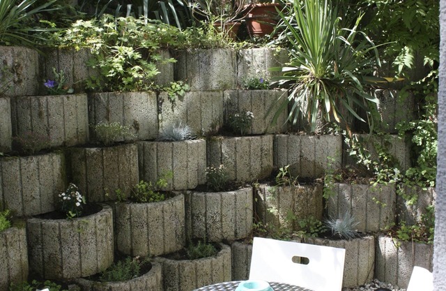 The old town with the market square, castle park and exotic forest are within walking distance