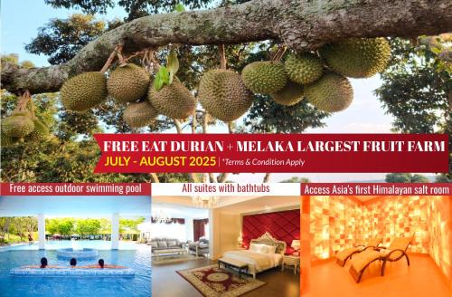 The Orchard Resort & Spa Melaka I World Spa Awards Winner I Free Access to Outdoor Spa Pool
