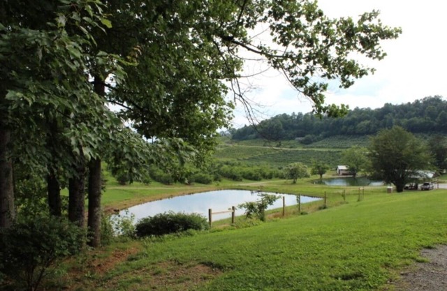 The Orchard Suite: Serenity in nature