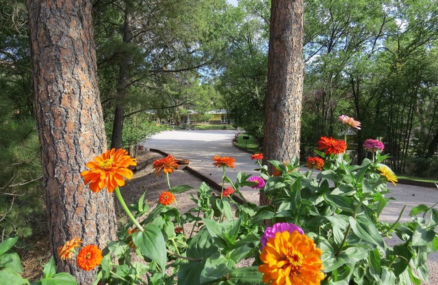 The Pines Country Inn