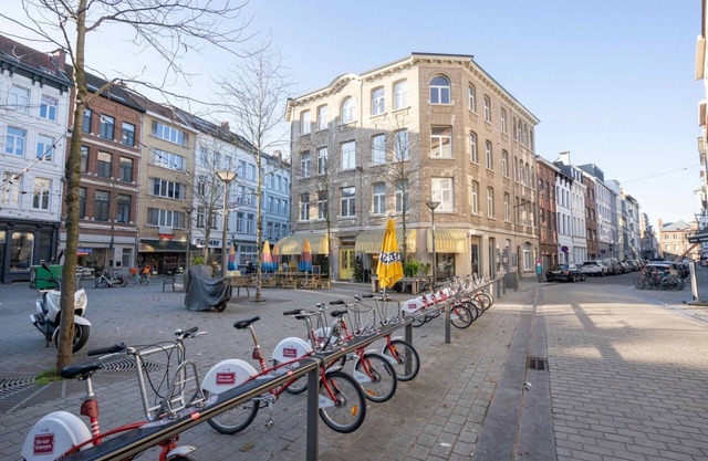The Pink Pigeon in Antwerp