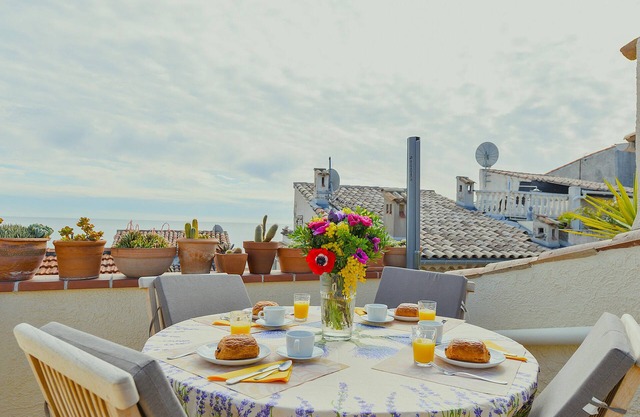 The seahorse. Whole house in old Antibes sea view - air conditioning/Wi-fi