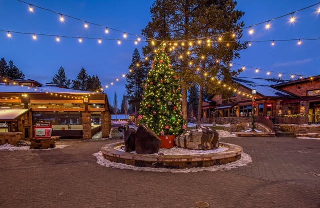 The Stellar Cabins