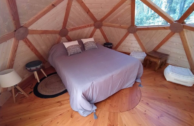 The unusual Tari dome
