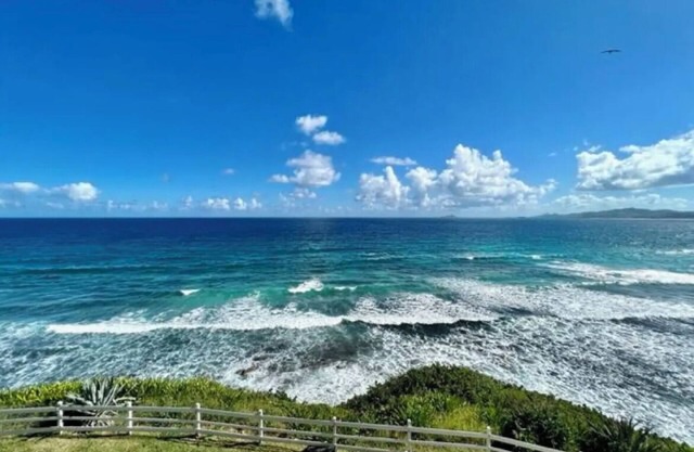The View ll!