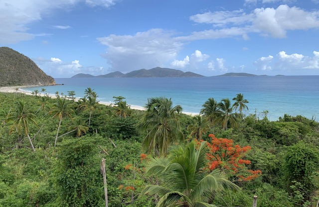 This stunning View Could Be Yours