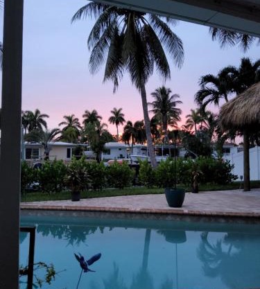Tiki Pool Water Front Paradise