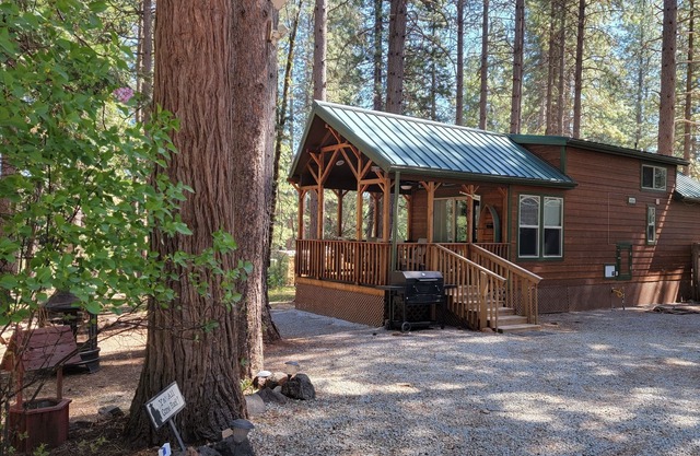Tiny House at Bigfoot Lodging Lassen