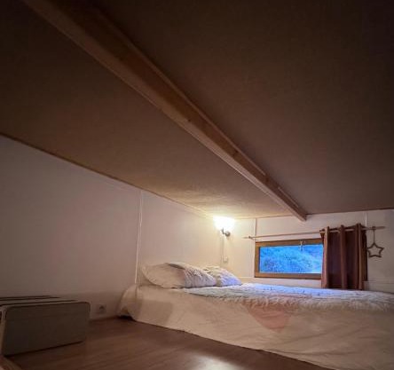 Tiny house au coeur de la foret