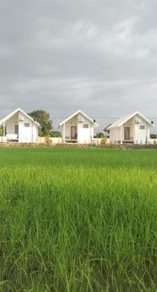 Tiny house homestay & cafe T2