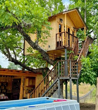 Tnak Dream House