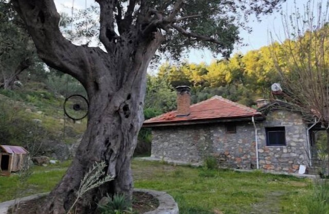 Togo iztuzu Stonehouse-3nn