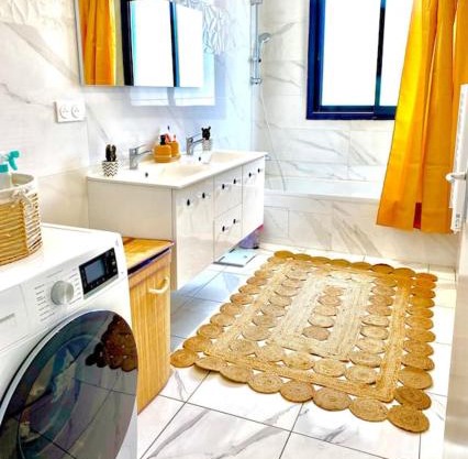 Toulouse vaste appartement très lumineux
