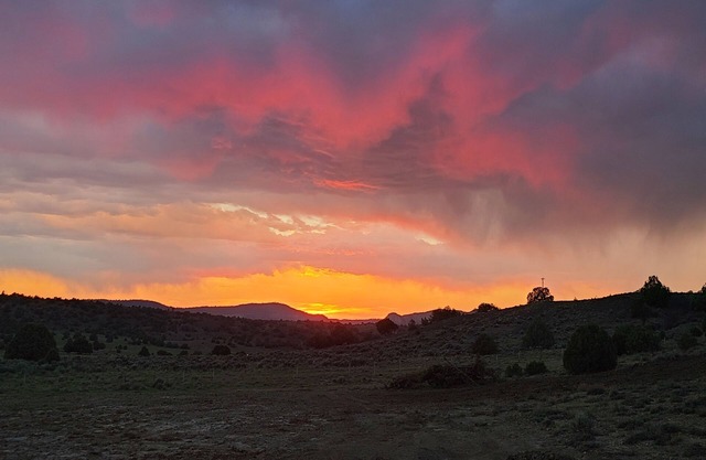 Trade the hustle, bustle, horns, sirens for a camping getaway!