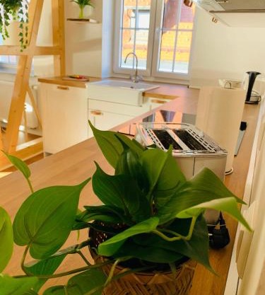Traumwohnung - direkt am Marktplatz