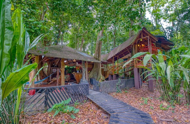 Tree House, located on Beach front Property