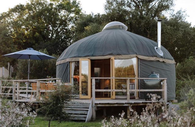 Tree Field Yurt at Moor Farm