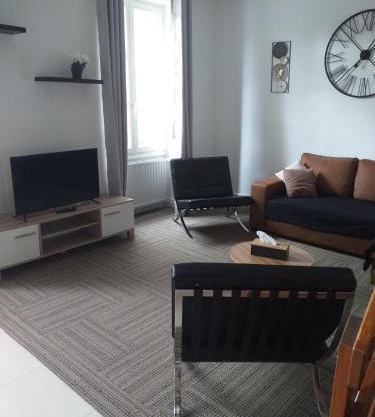 Tres bel appartement face au Chateau 2 ch 4 pers