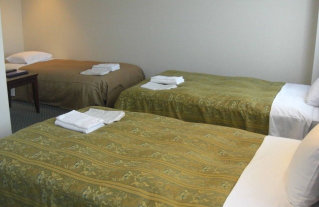 Triple nonsmoking room only 20 minutes by c/Izumo Shimane