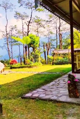 Tripoo Rhisum the premium Haapo retreat