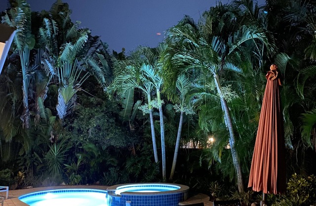 Tropical dream heated pool home