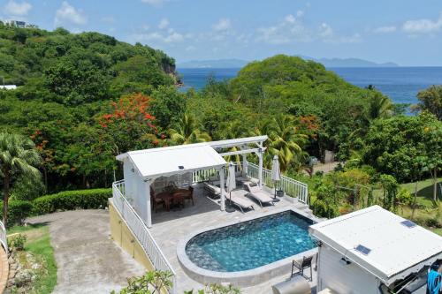 Tropical Indies Dream