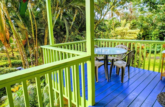 Tropical Studio Apartment!