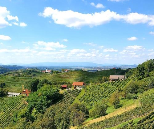TRUTH WINES HOUSE