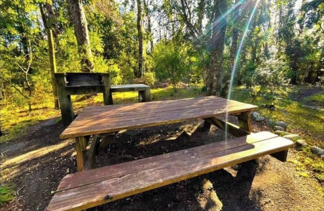 Tu refugio en Pucón: bosque nativo, volcán, centro ski