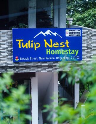 Tulip Nest Homestay