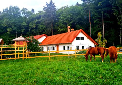 Turistična kmetija Hiša ob gozdu pri Ptuju