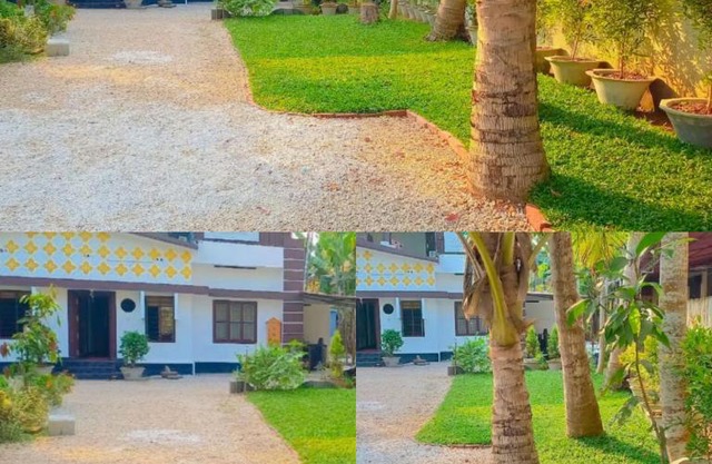 Turtle Island - Homestays