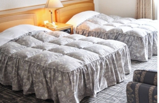 Twin room in the main building One night stay wi/Toyama Toyama