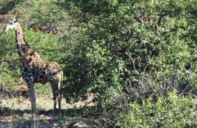 Twyfelfontein Tented Camp