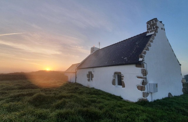 Typical Ouessantine house entirely renovated with its enclosed garden planted with trees.