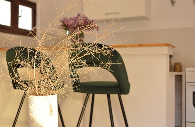 un Petit Appartement de 45 m2 Avec son Petit Patio Cosy