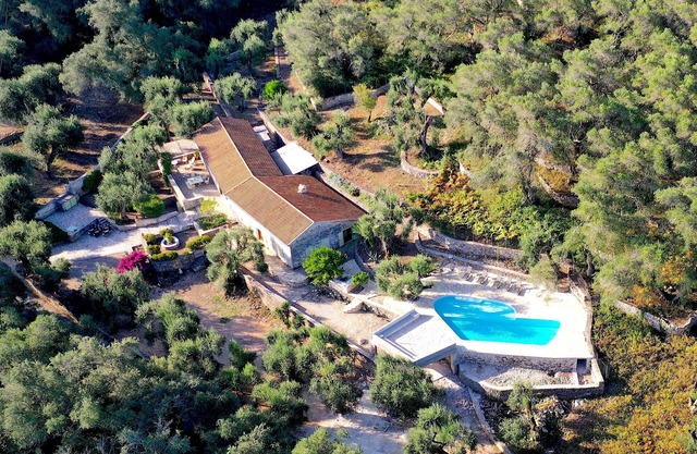 Unique Villa surrounded by the wood with POOL