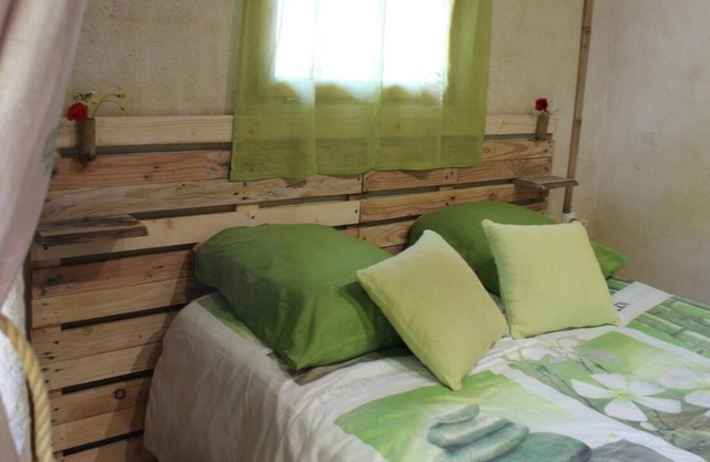 Unusual stay in a plant nursery