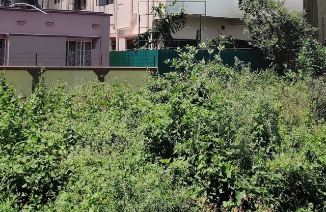 Ushashee Amidst Nature ----- THE QUADRUPLE ROOM