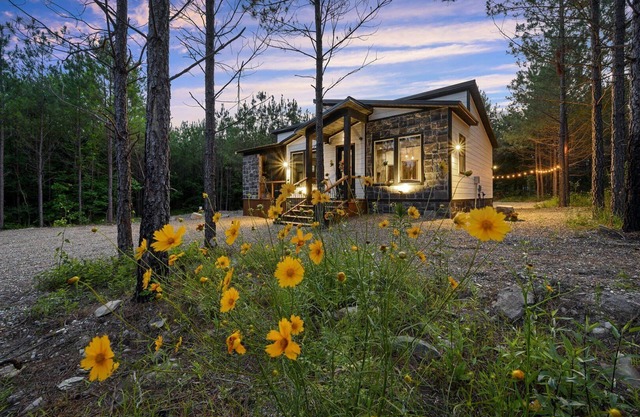 Vacana At Ease, Romantic Honeymoon Cabin with Hot Tub