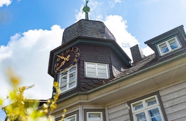 Vacation apartment/apartment for 6 guests with 80m² in Hahnenklee (153647)