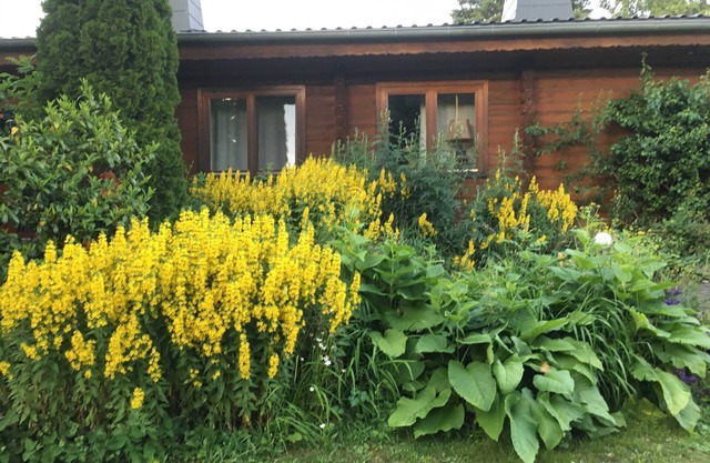 Vacation apartment Anika - Holiday apartments Finnish log cabin