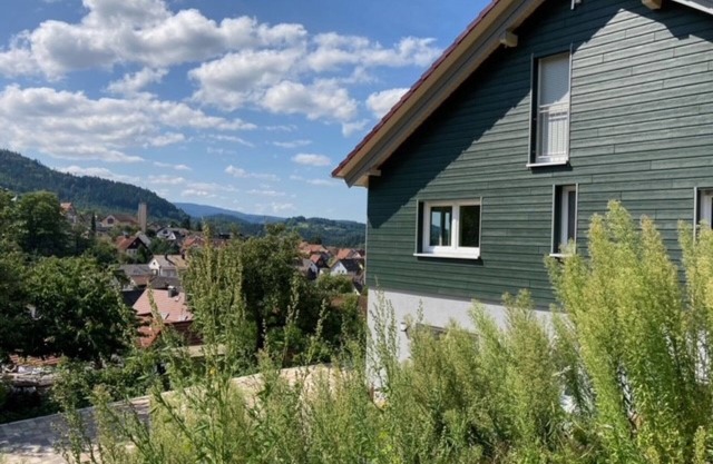 Vacation apartment Auerhahn, 115 sqm, 2 bedrooms, balcony and terrace, max. 4 persons