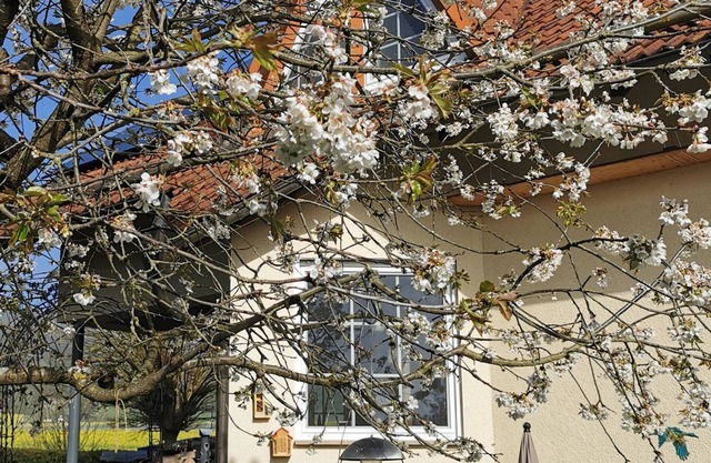 Vacation apartment Auszeit am Nationalpark