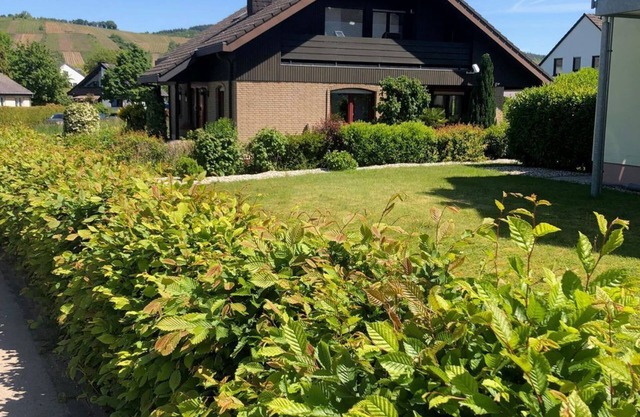 Vacation apartment "Bella Mosel"
