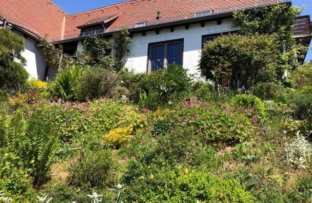 Vacation apartment Kellerwald