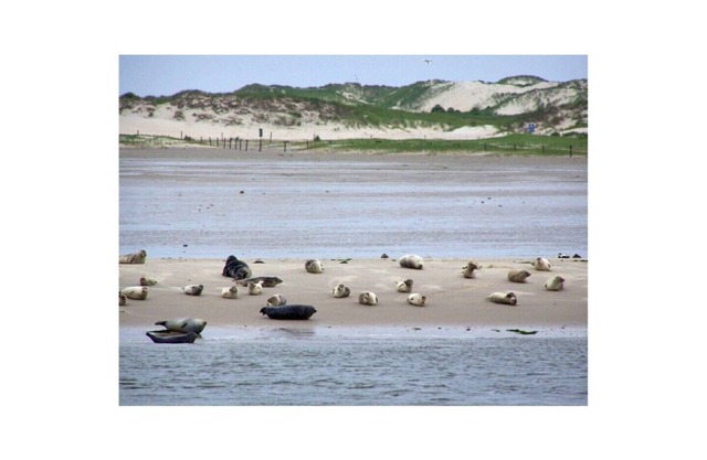 Vacation home Nordseebrise, with sun terrace in a quiet location, from Horumersiel