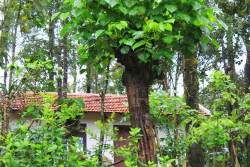 Vastare Homestay and Resort Chikmagalur