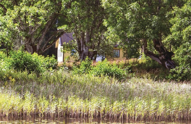 Very cozy cottage, surrounded by a meadow and forest and a sea view to the east and south bidder.